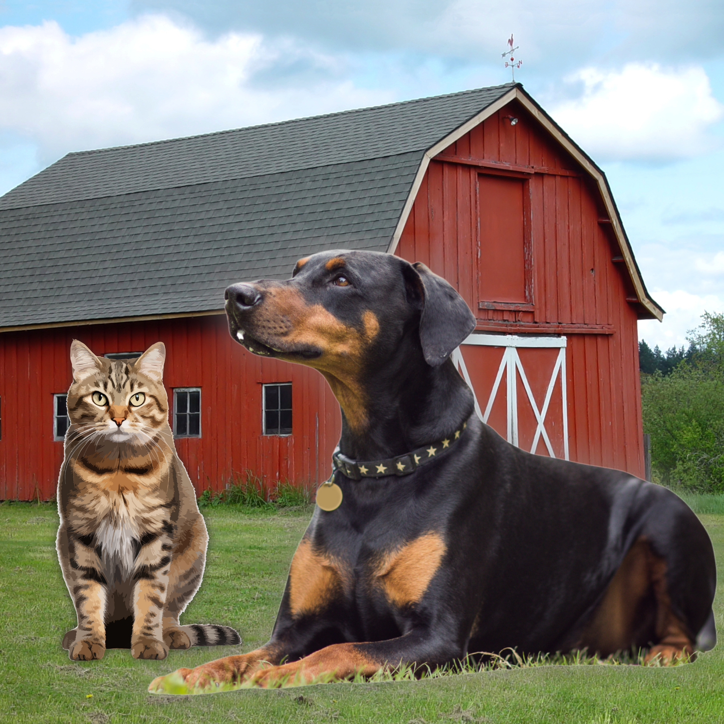 A Dog Named Kitty: Charming Story Book About Family.