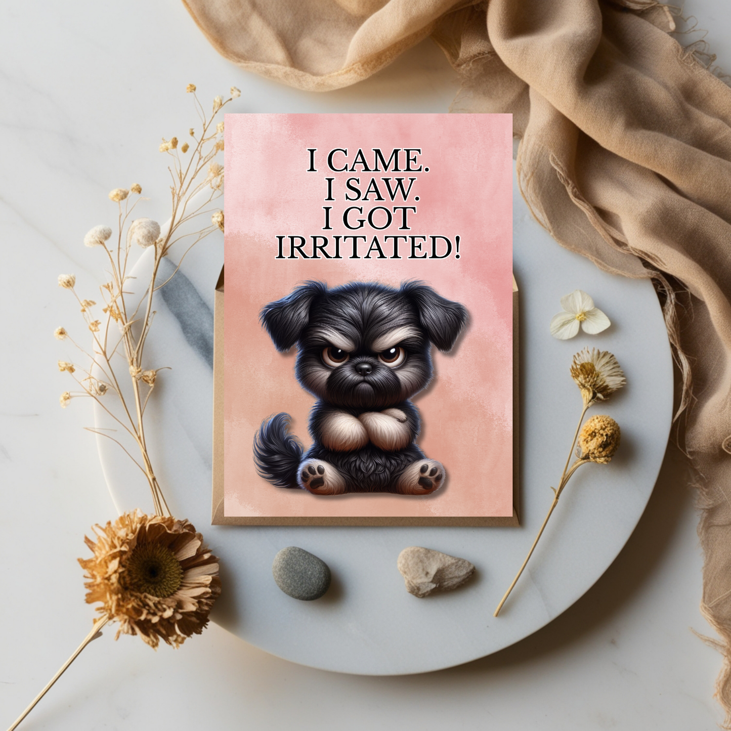 The Bitter Critter Black Dog: I Came. I Saw. I Got Irritated! Humorous Greeting Card.