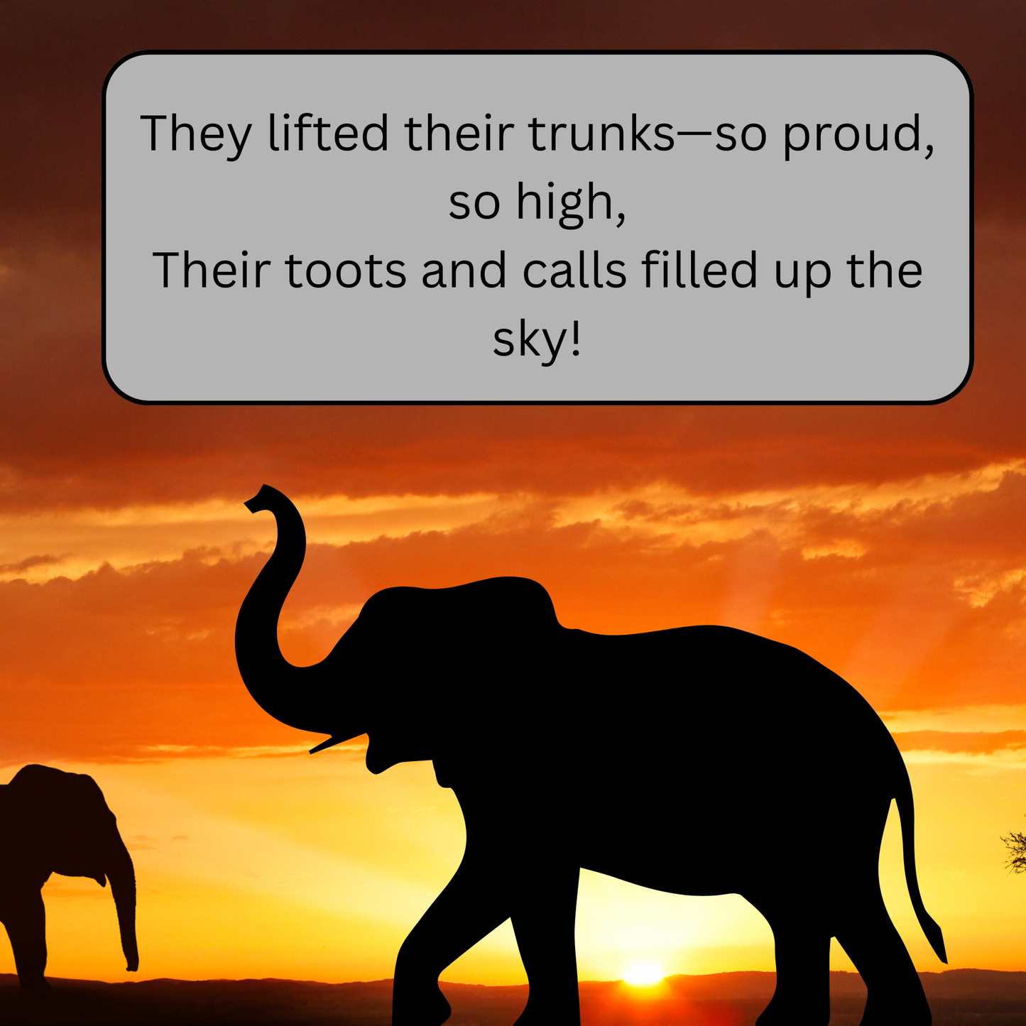 Lil’ Noots Toots: A Cute Elephant Story About Courage, Perseverance.